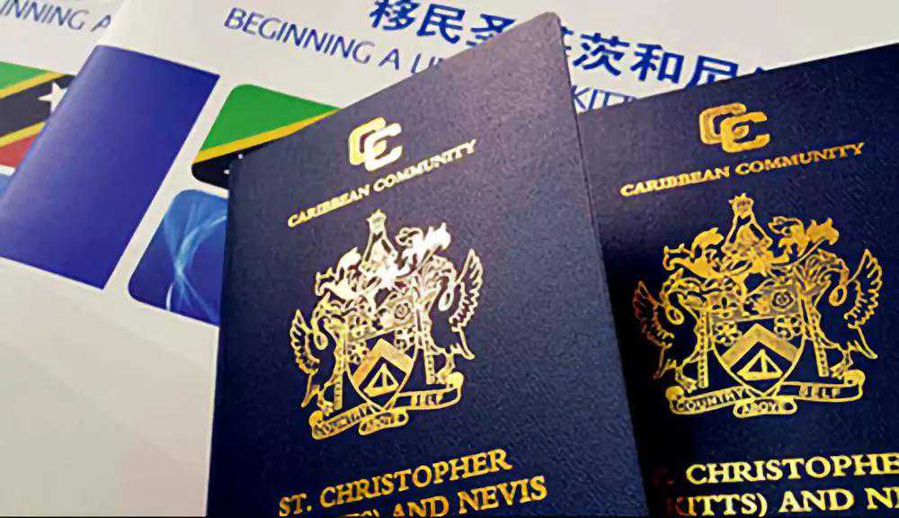 泰安市化马湾乡：盘活绿水青山，绘出全域旅游新图景