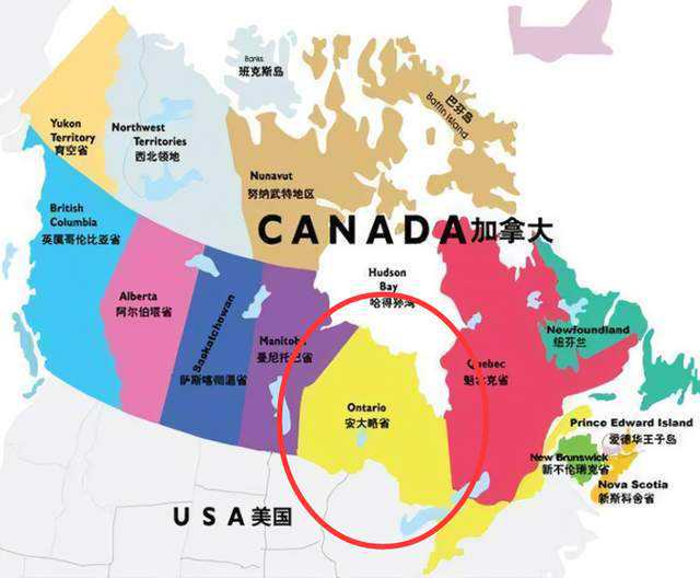 当季蔬菜却非常不新鲜？云南移民管理警察发现豇豆之下……