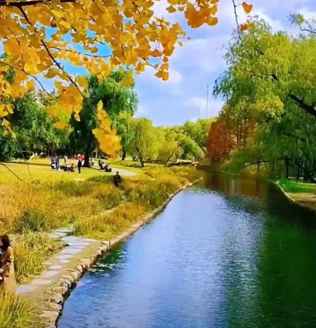 这座1967年建成的100米单跨“文革大桥”造价5.8万，至今状态良好